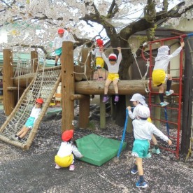 認定こども園榎の木の写真2