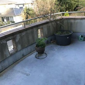 中央台保育園の写真3