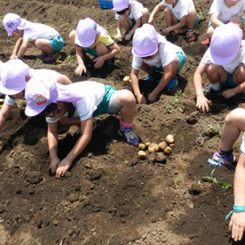 認定こども園元八王子幼稚園の写真3