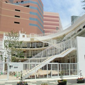 第２どろんこ夜間保育園