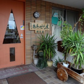 しあわせな木保育園の写真2