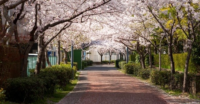 香椎浜保育園