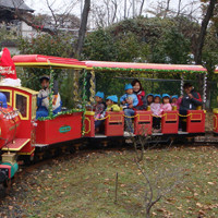 認定こども園　子どもの森の写真4