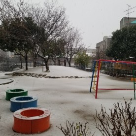若竹保育園