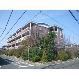 千里保育園の写真2