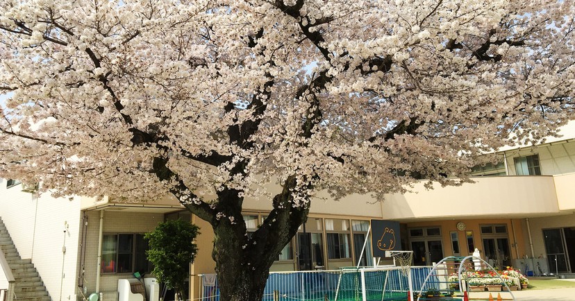 光の園保育園