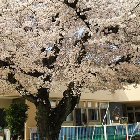 光の園保育園