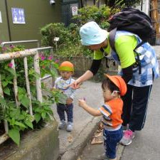 八広認定こども園の写真3
