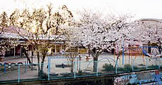 筑水保育園