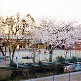 筑水保育園