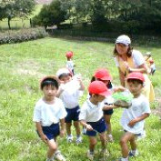 認定こども園開進幼稚園の写真2
