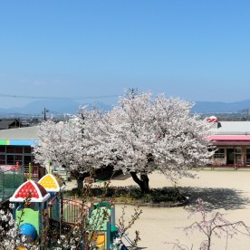 竹野保育所