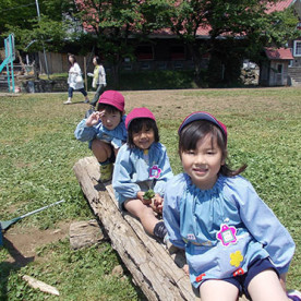 認定こども園子どもの森幼稚園の写真2
