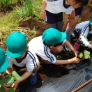 認定こども園子どもの森幼稚園の写真4
