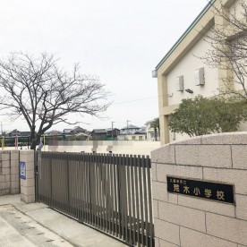 荒木保育園の写真3