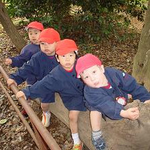 三鷹台幼稚園の写真2