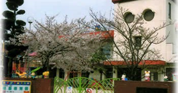 明星保育園