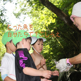 認定こども園葛飾みどりの写真4