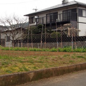 真光院保育園の写真1