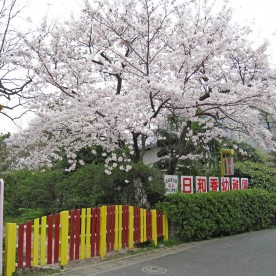 日和香幼稚園