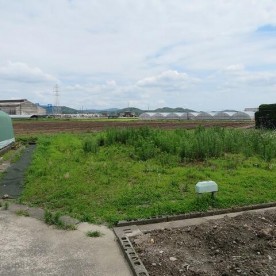 浜田保育園の写真2