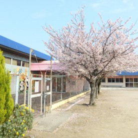 山鹿保育所の写真2