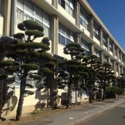 香春幼稚園の写真2