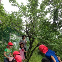 瑞穂のぞみこども園の写真5