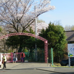 こども学園