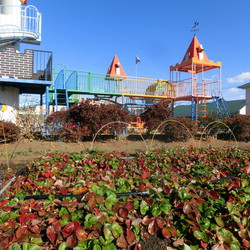 石神井南幼稚園の写真2