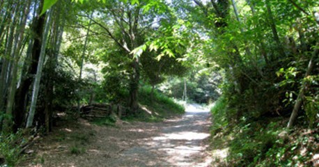 あゆみの森共同保育園