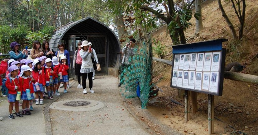 認定こども園しらかわ幼稚園