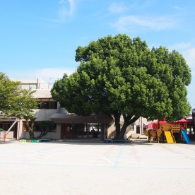 認定こども園芦屋中央幼稚園
