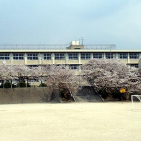 中間ひがし小規模保育園の写真2