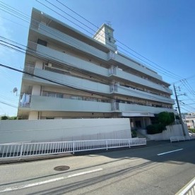 クローバーの写真3