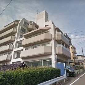 クローバーの写真2