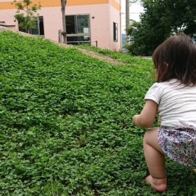地球の子ゆたか保育園