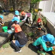 光が丘さくら幼稚園の写真2