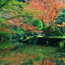 ゆめのみ保育園