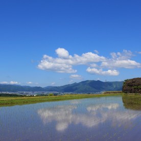 阪谷保育園