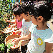 本駒込幼稚園