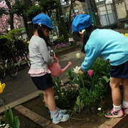 千駄木幼稚園の写真5