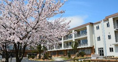 越前市国高幼稚園