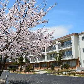越前市国高幼稚園