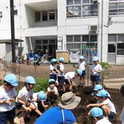 金竜幼稚園