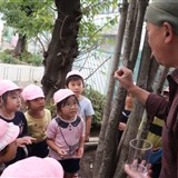 金竜幼稚園の写真3
