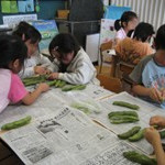 天沼保育園の写真4