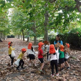 江東区立南陽幼稚園の写真2
