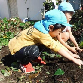 江東区立南陽幼稚園の写真3