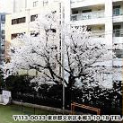 湯島幼稚園
